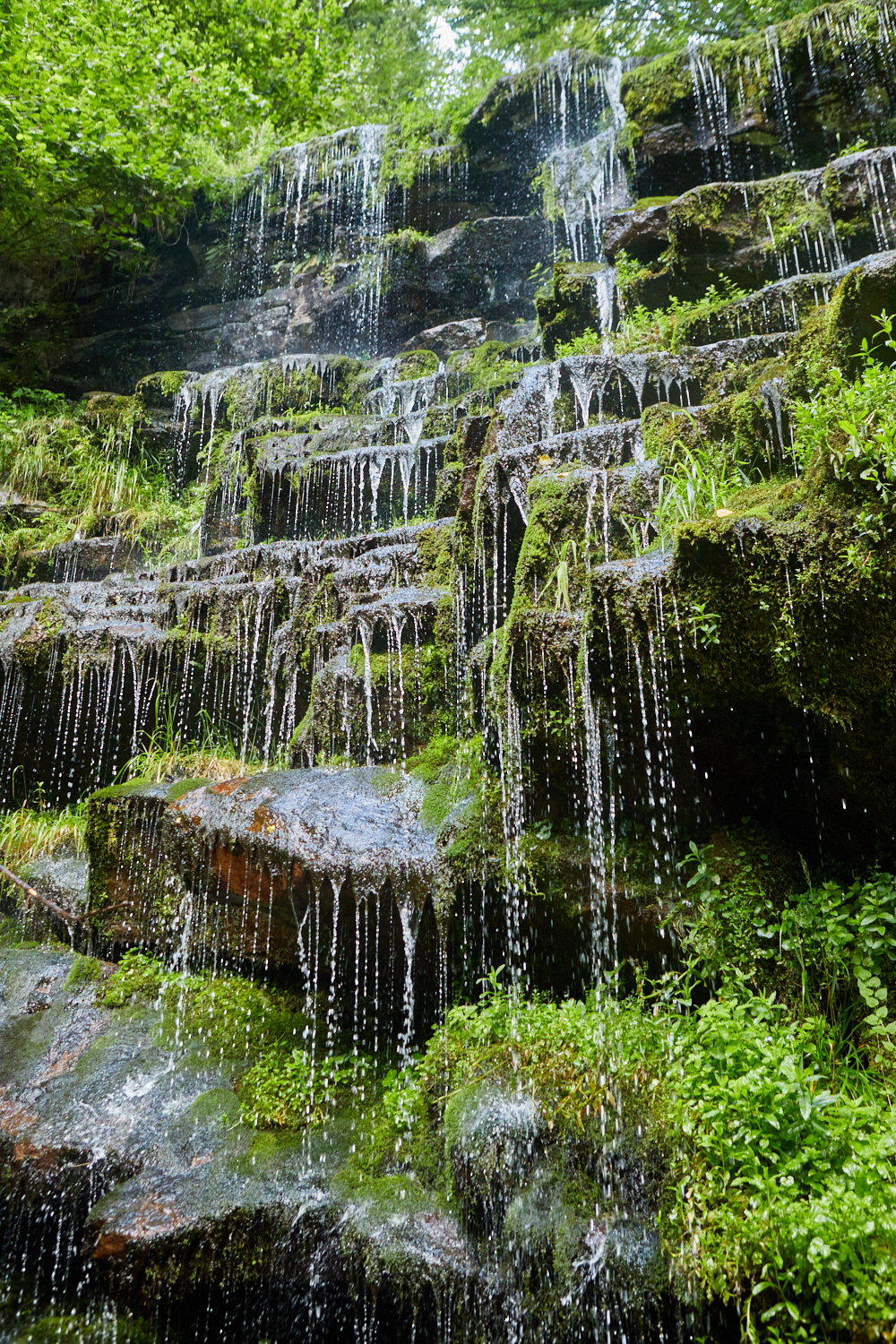 2026_stara_planina-02