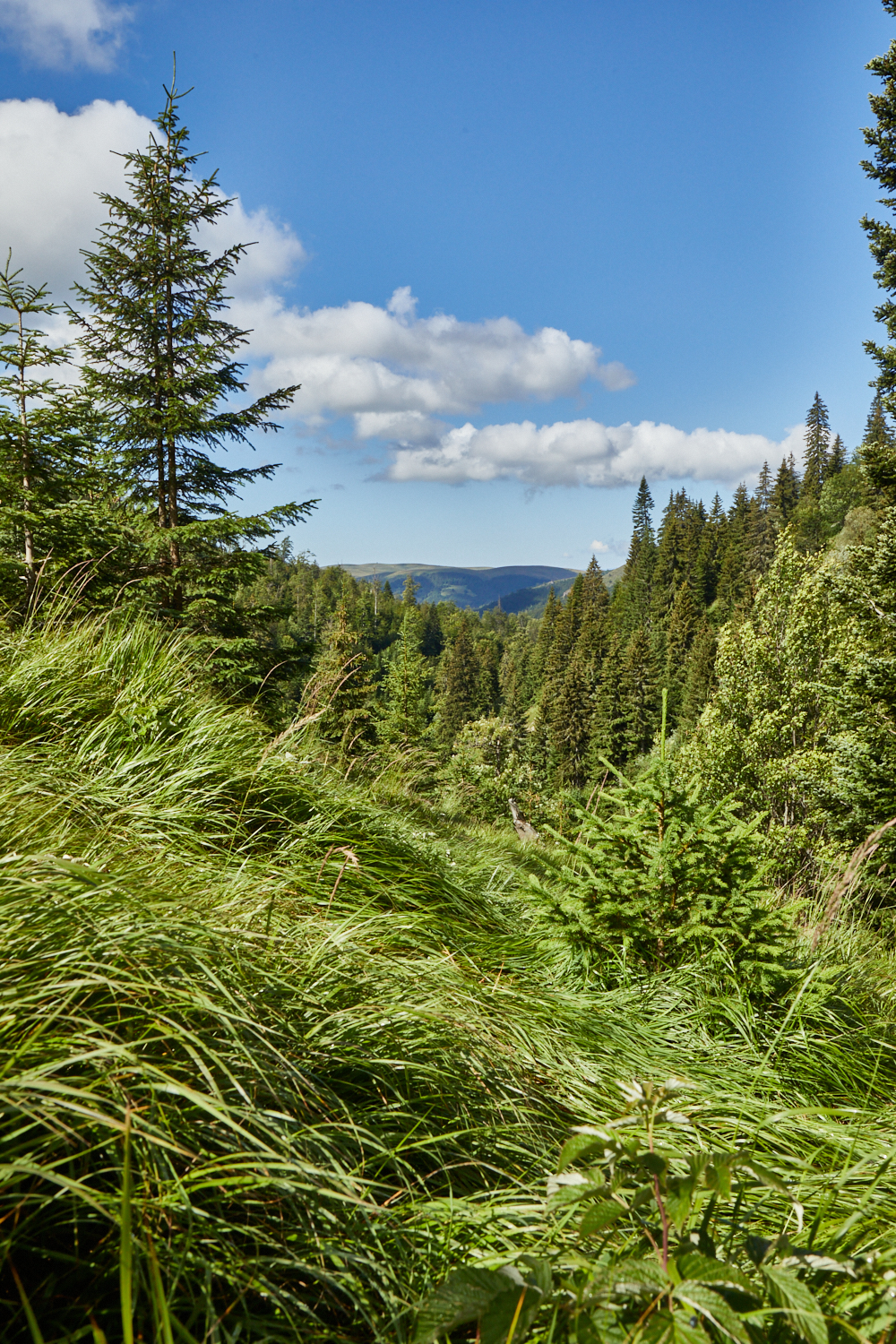2026_stara_planina-04