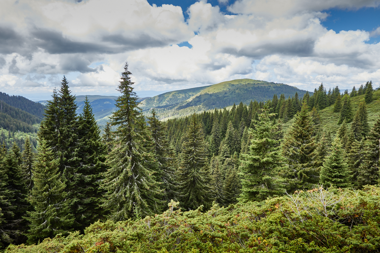 2026_stara_planina-09
