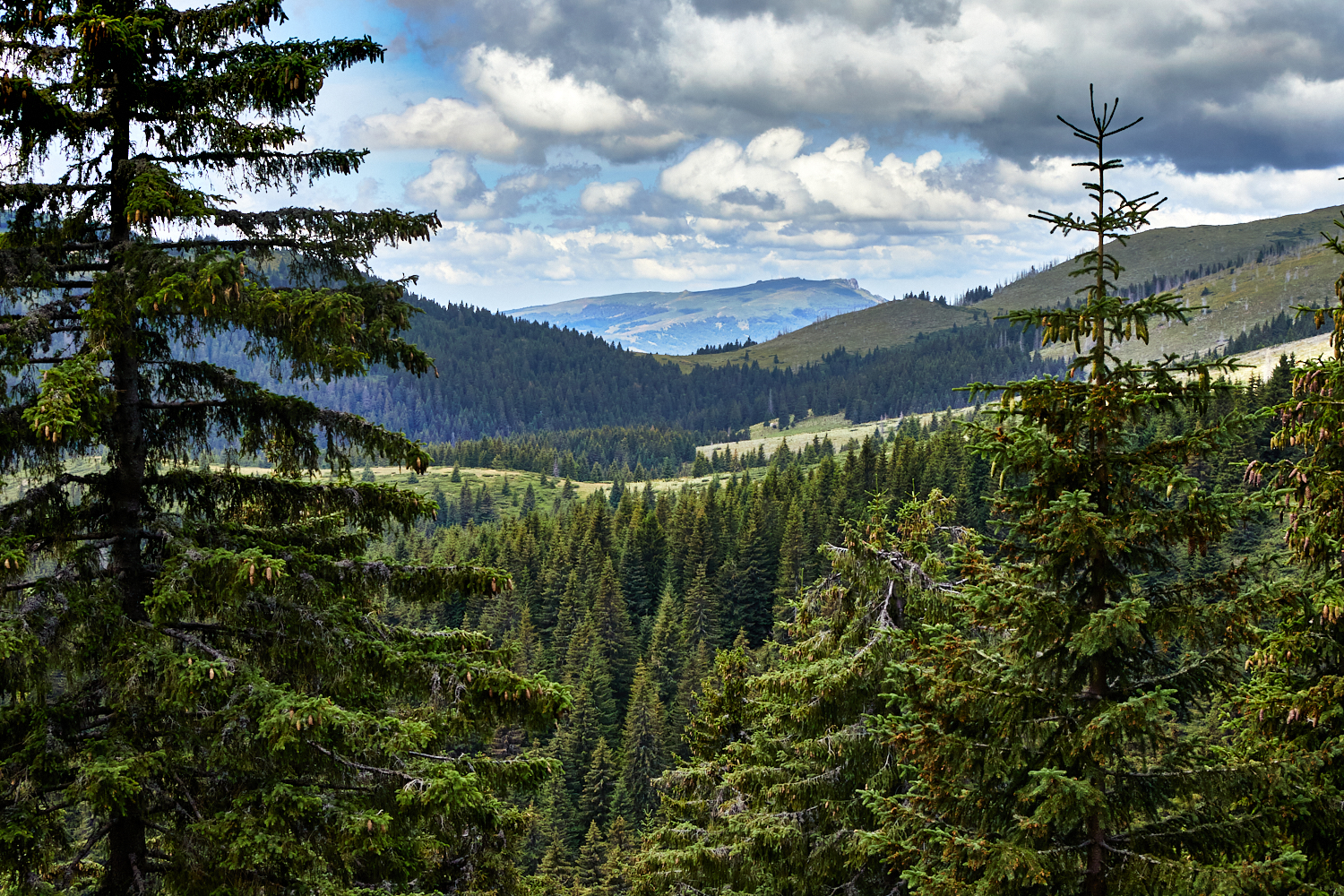 2026_stara_planina-10