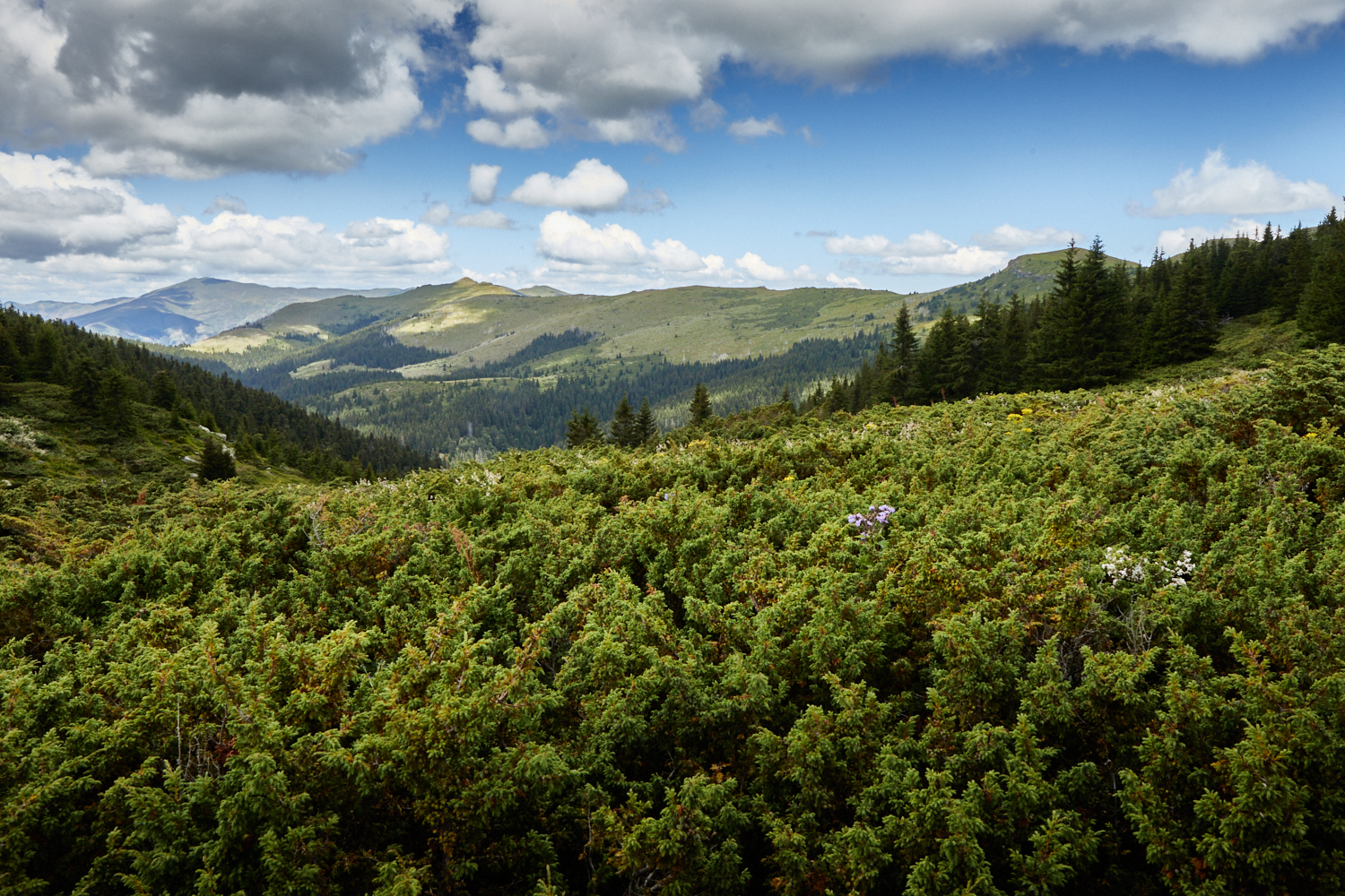 2026_stara_planina-11