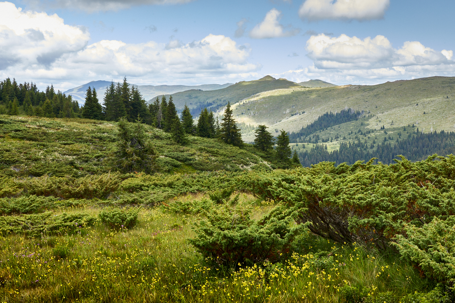 2026_stara_planina-12
