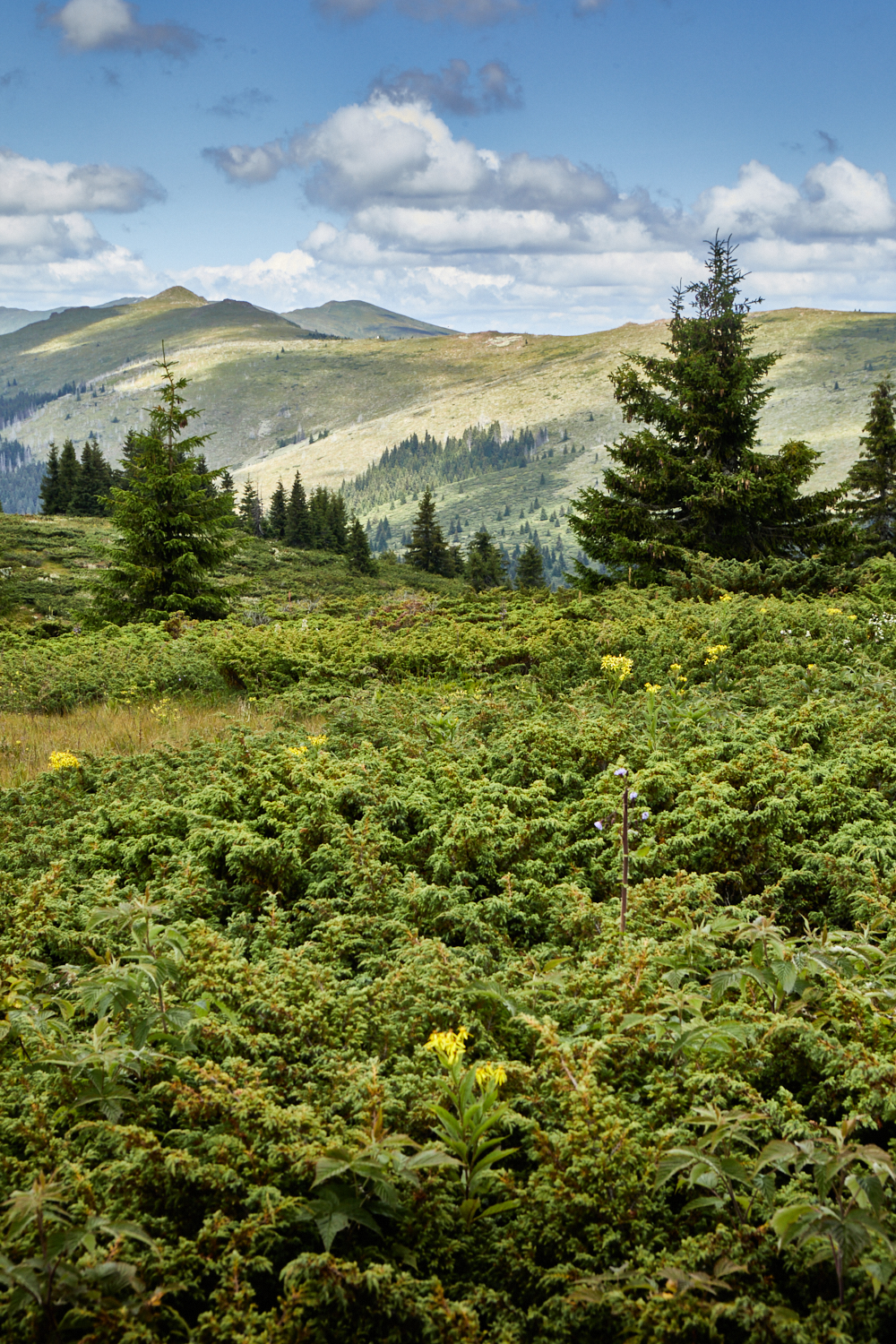 2026_stara_planina-13