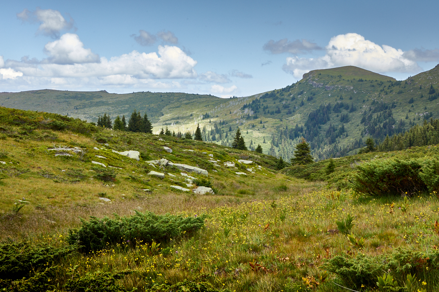 2026_stara_planina-14