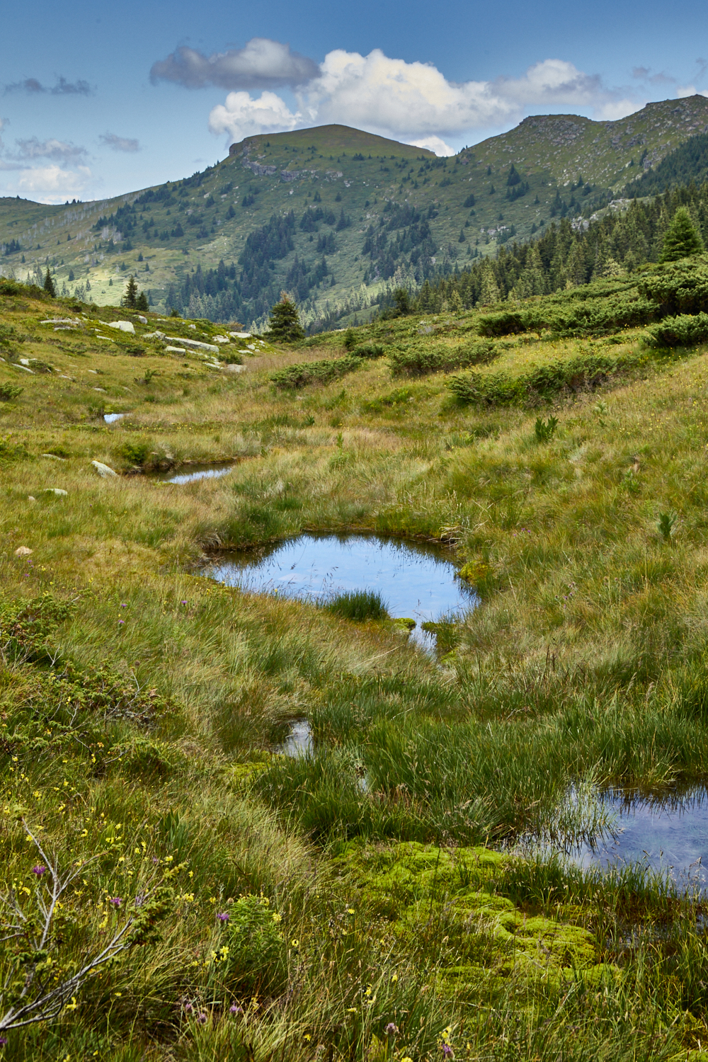 2026_stara_planina-16