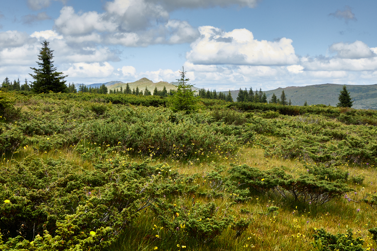 2026_stara_planina-17