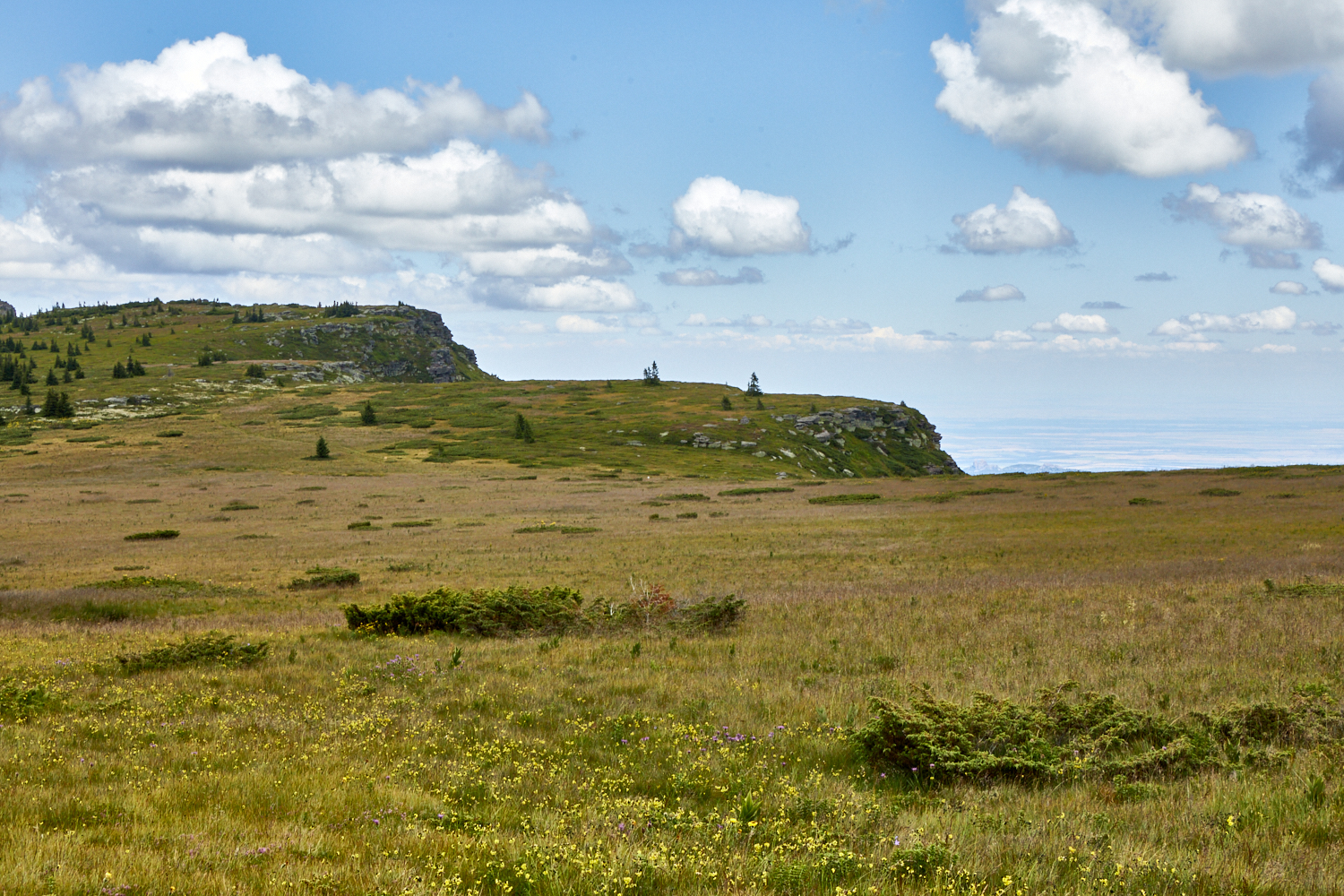 2026_stara_planina-18