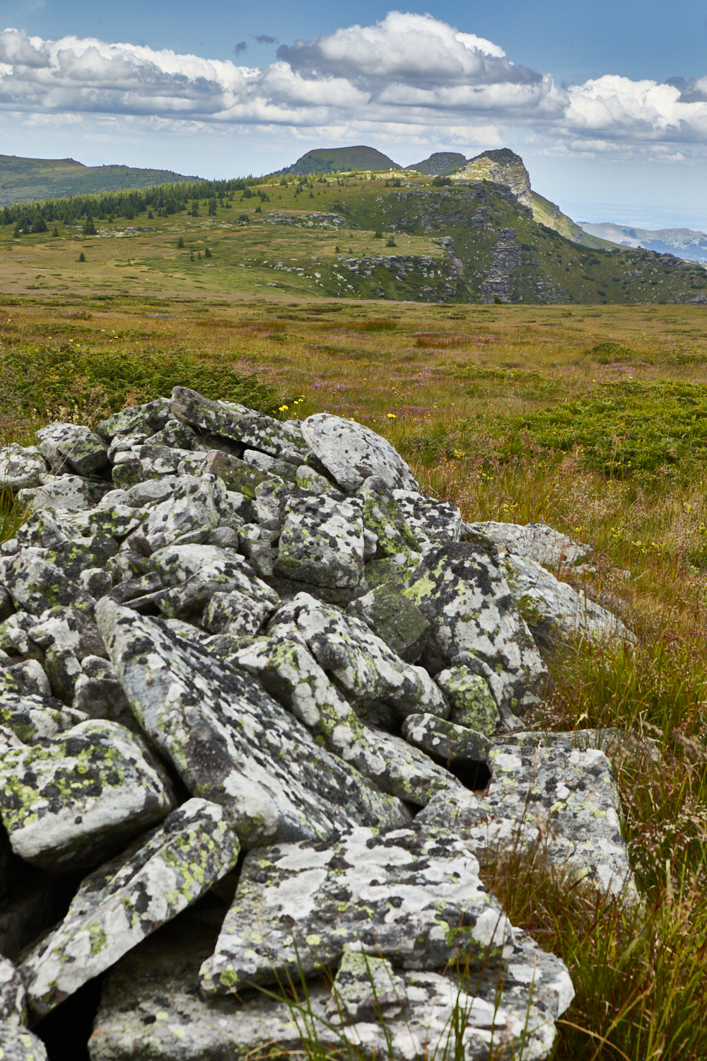 2026_stara_planina-19