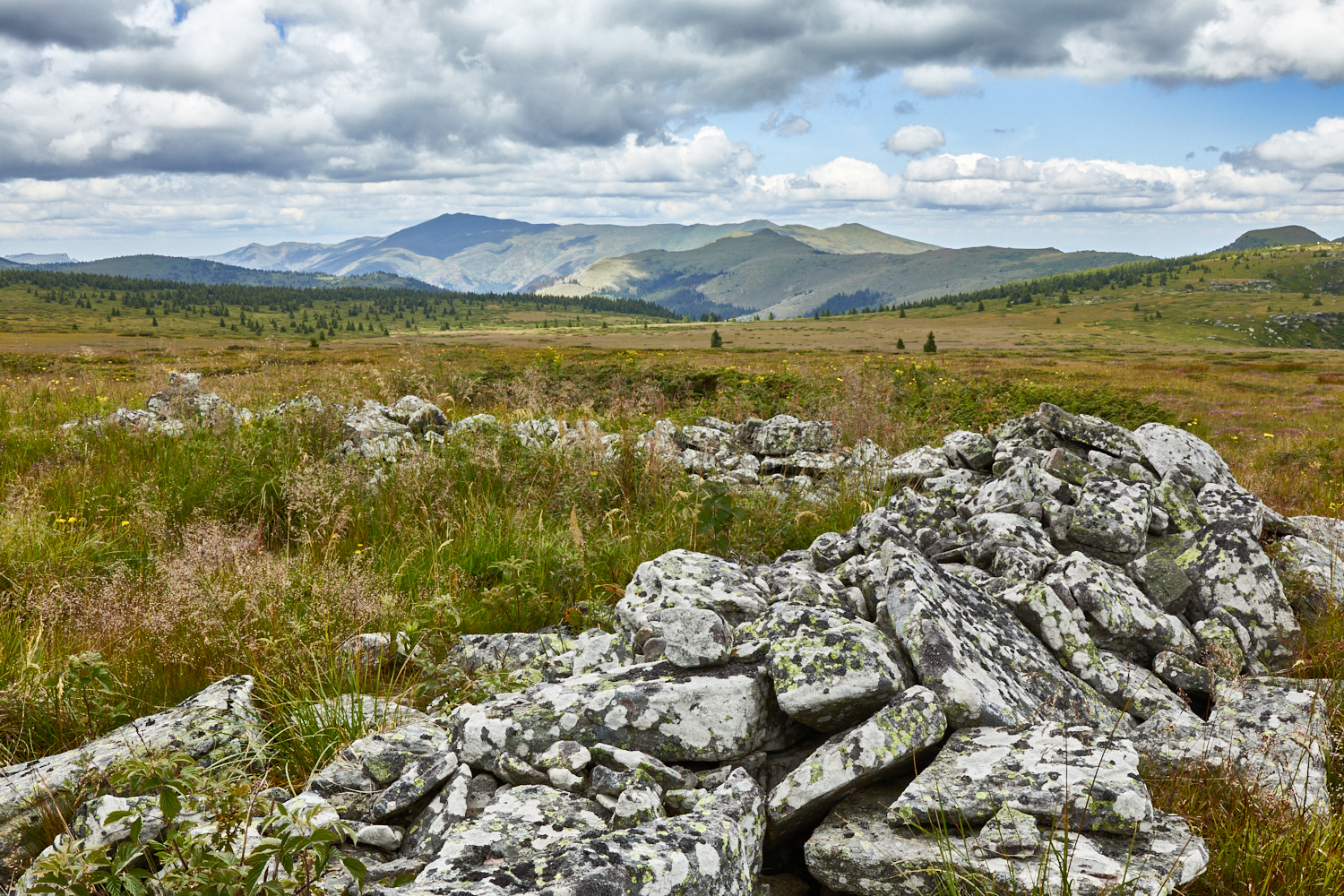2026_stara_planina-20