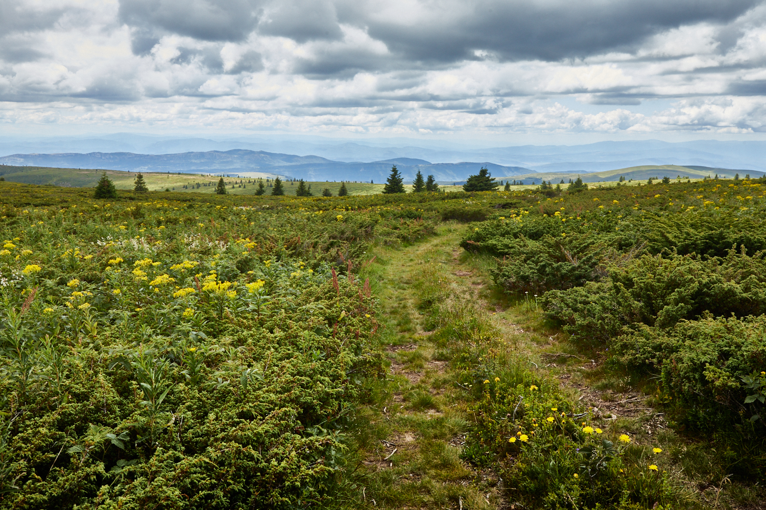 2026_stara_planina-21