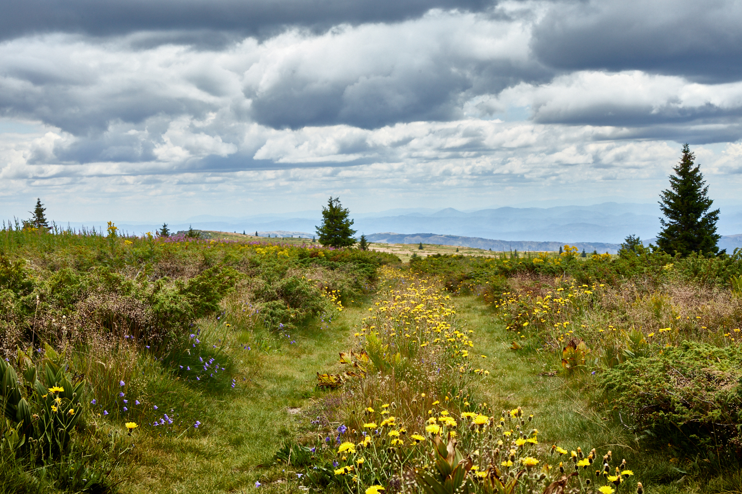 2026_stara_planina-22