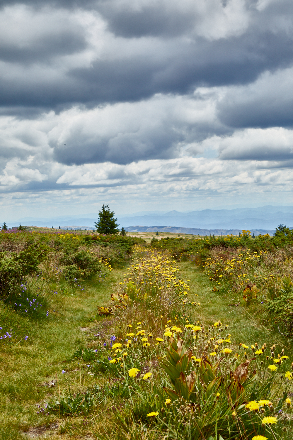 2026_stara_planina-23