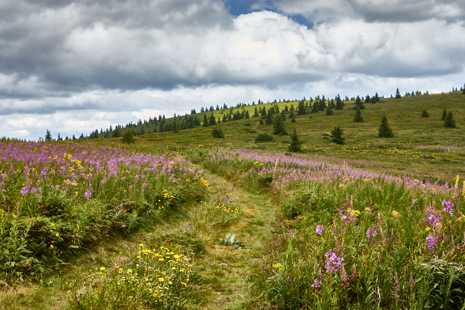 2026_stara_planina-29