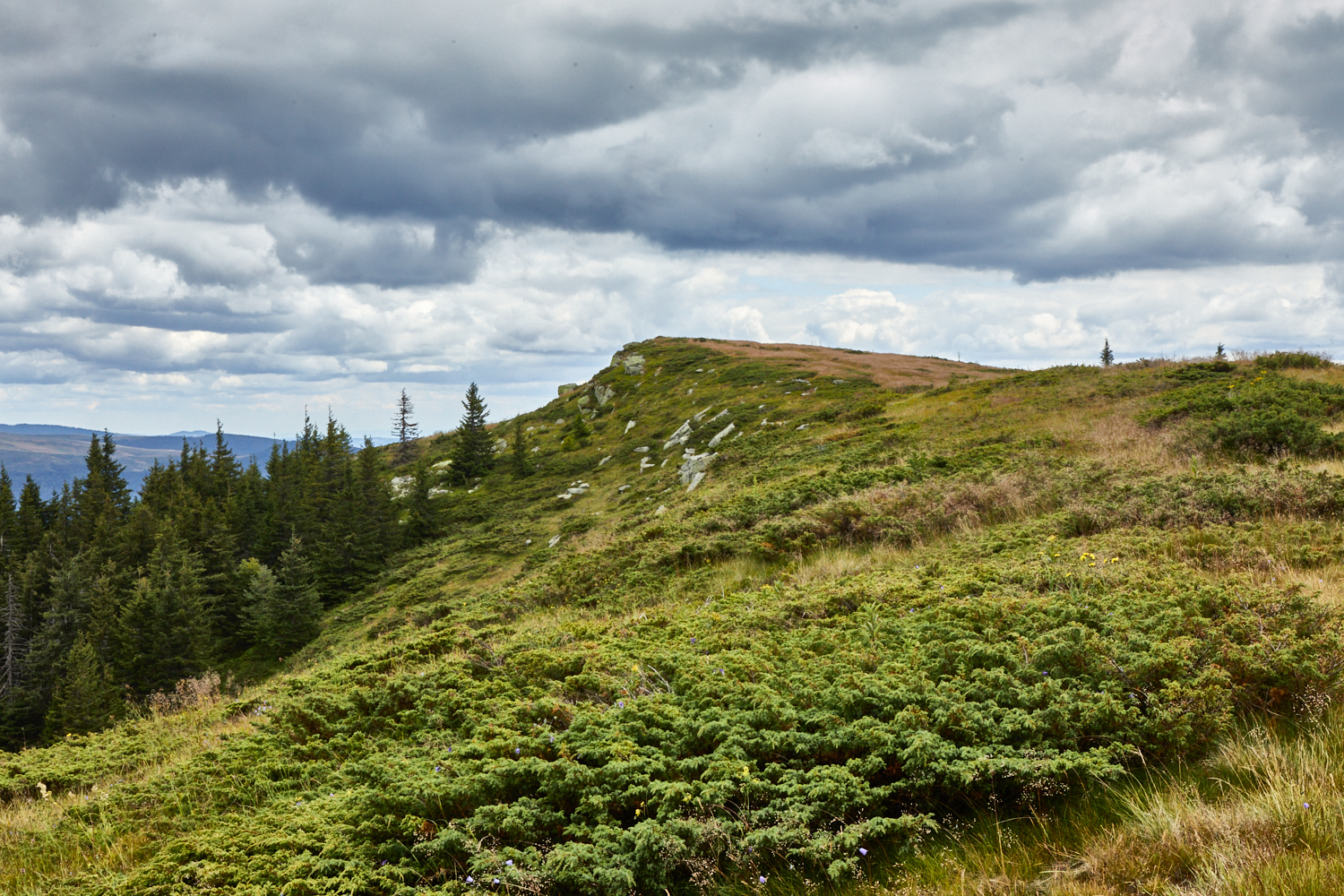 2026_stara_planina-31