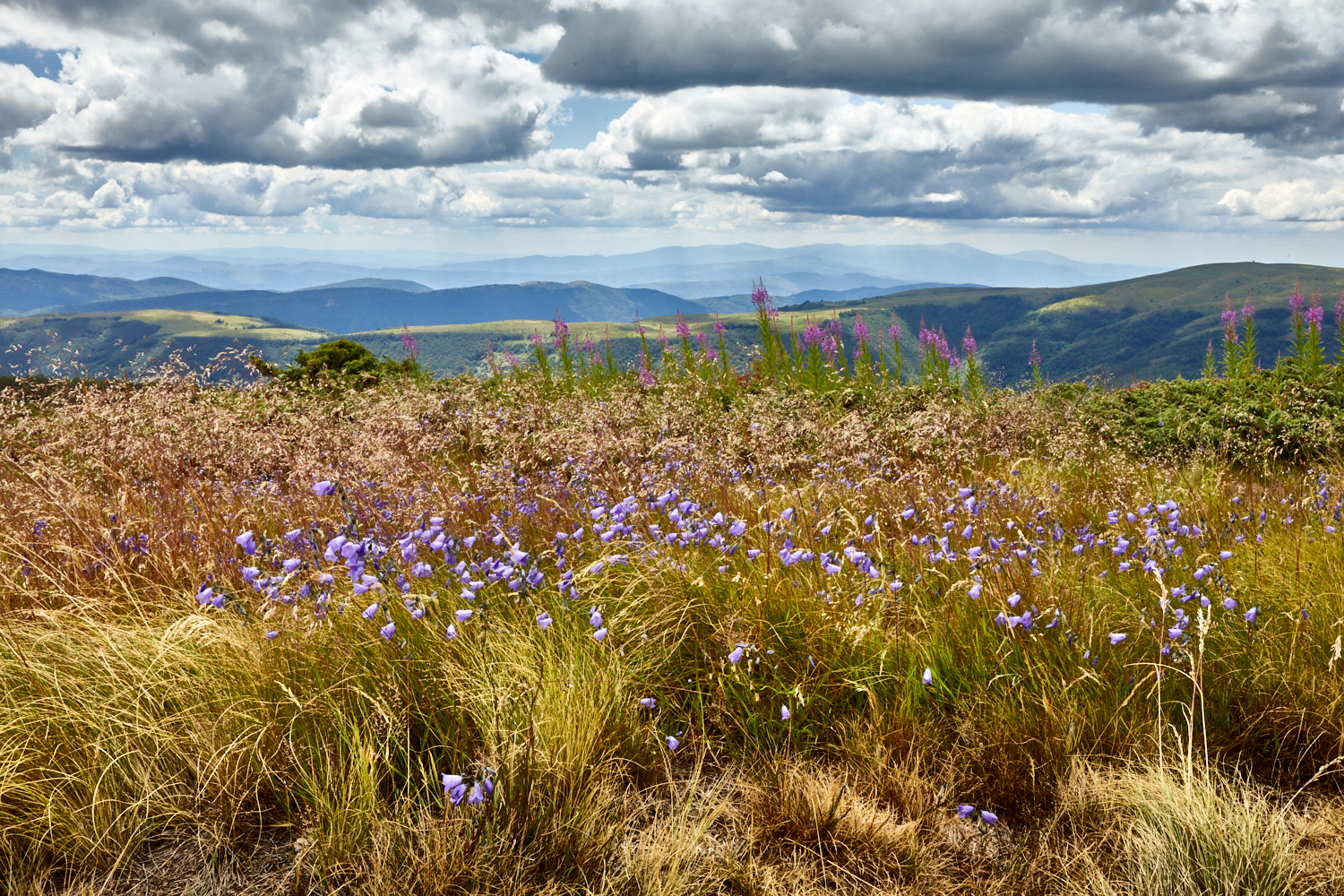 2026_stara_planina-32