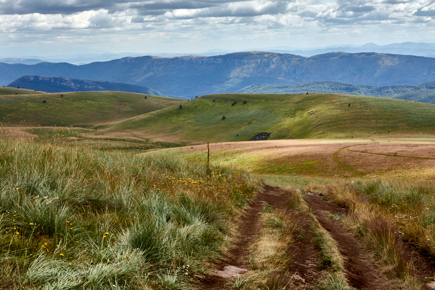 2026_stara_planina-33