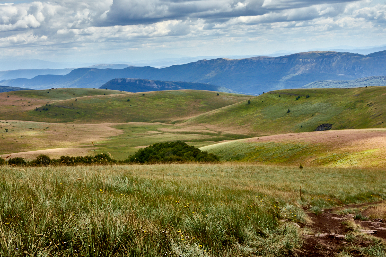2026_stara_planina-34