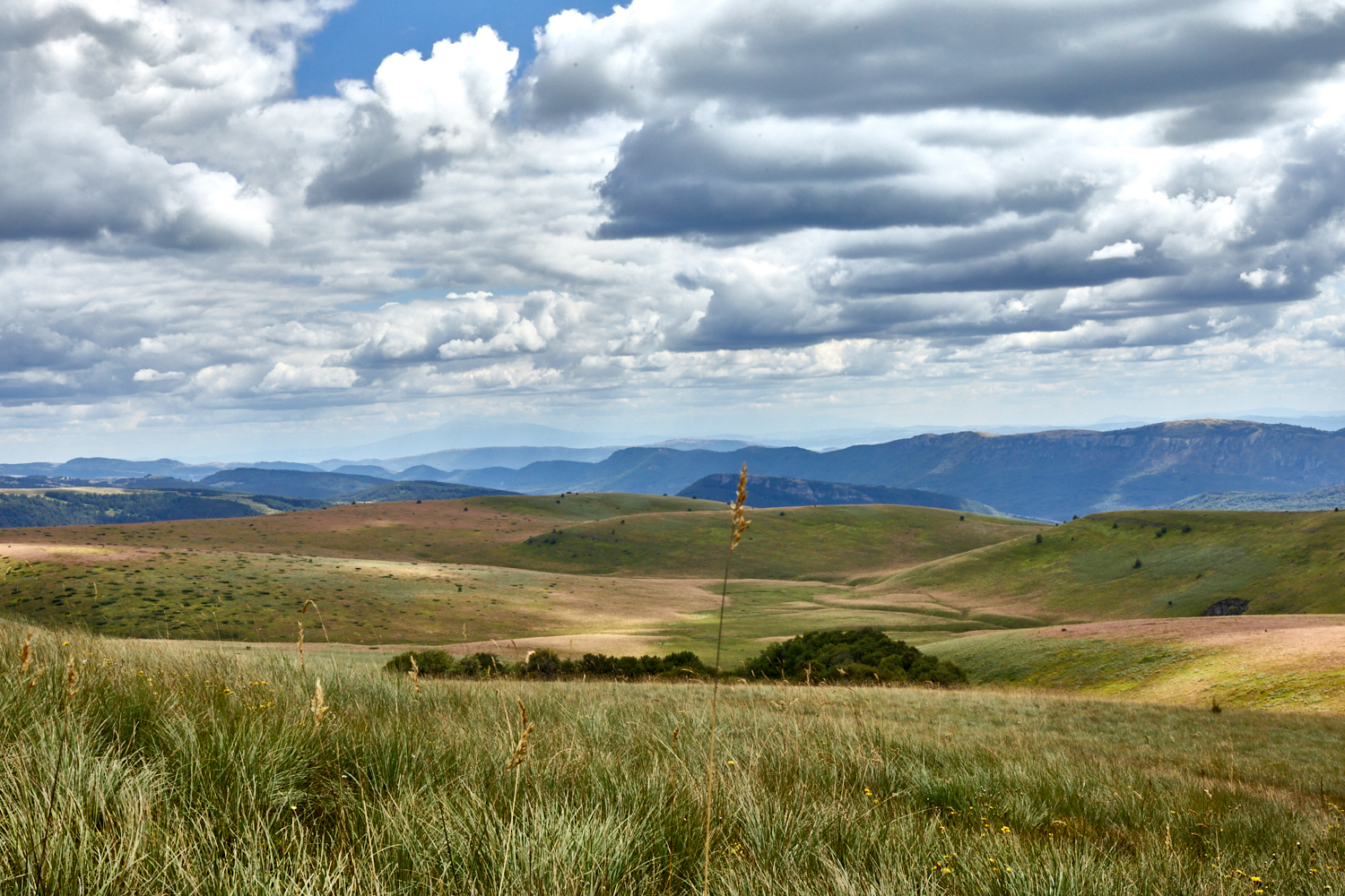 2026_stara_planina-35