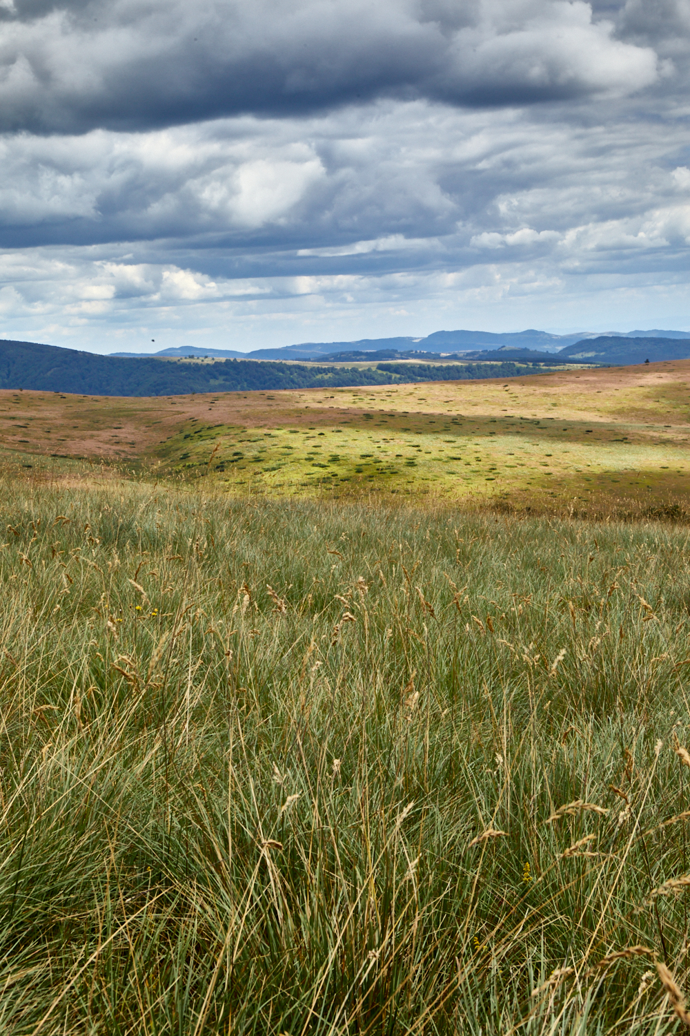 2026_stara_planina-36