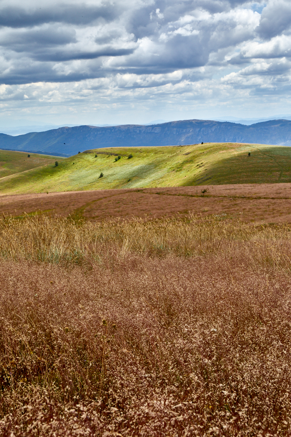 2026_stara_planina-38