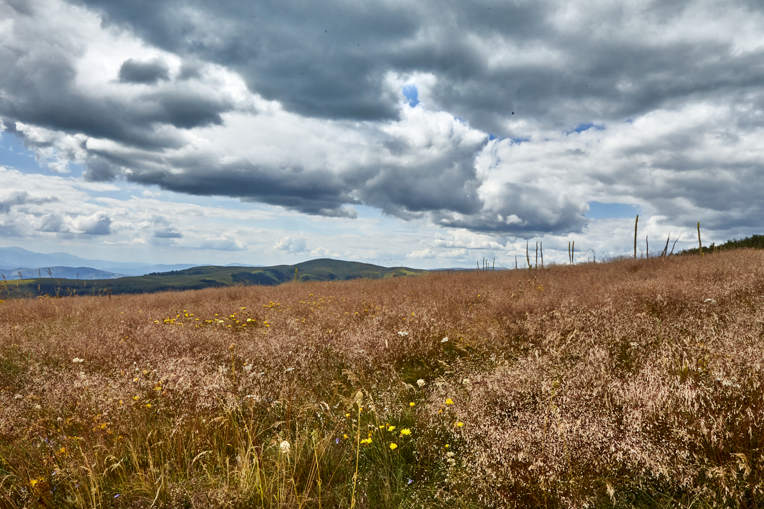 2026_stara_planina-39