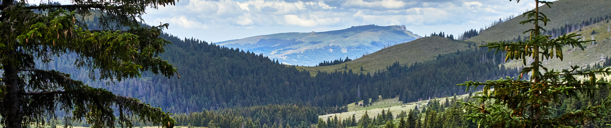 2026_stara_planina-00